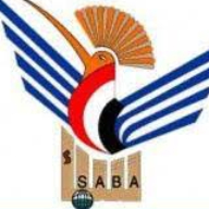 sabanet