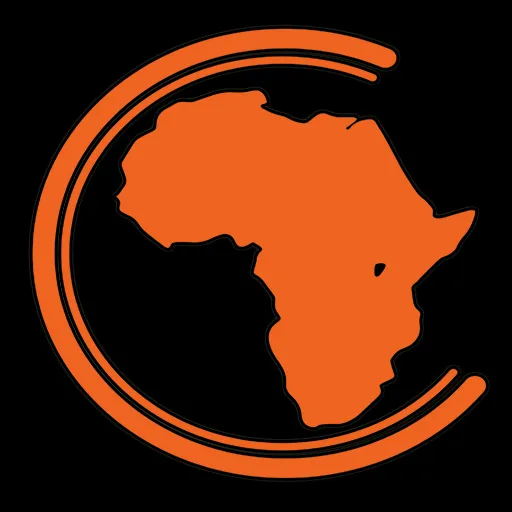 Who Owns Africa