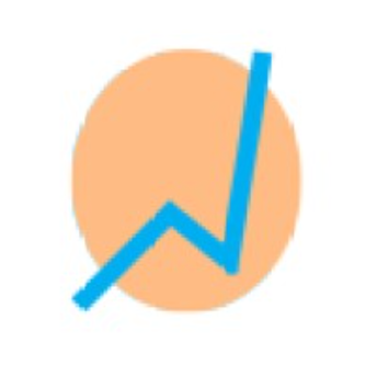 The Financial Analyst