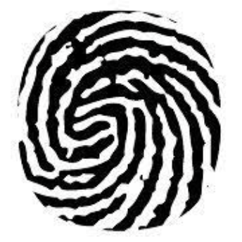 Biometric Update