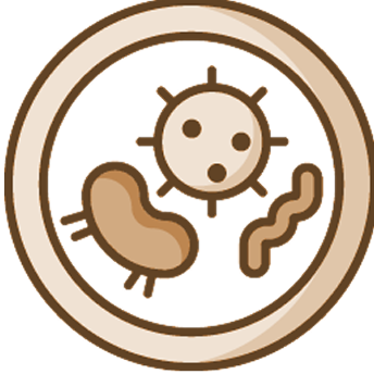 Bioengineer.org