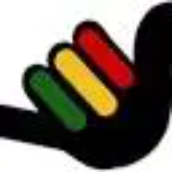 The Zimbabwe Mail