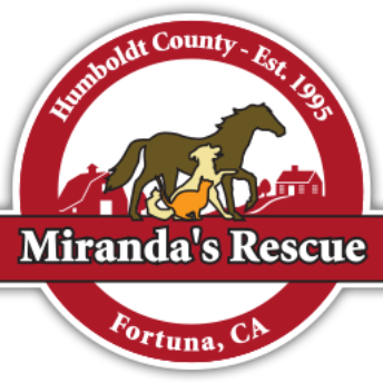 Miranda's Rescue