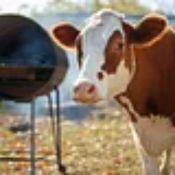 Sacred Cow BBQ