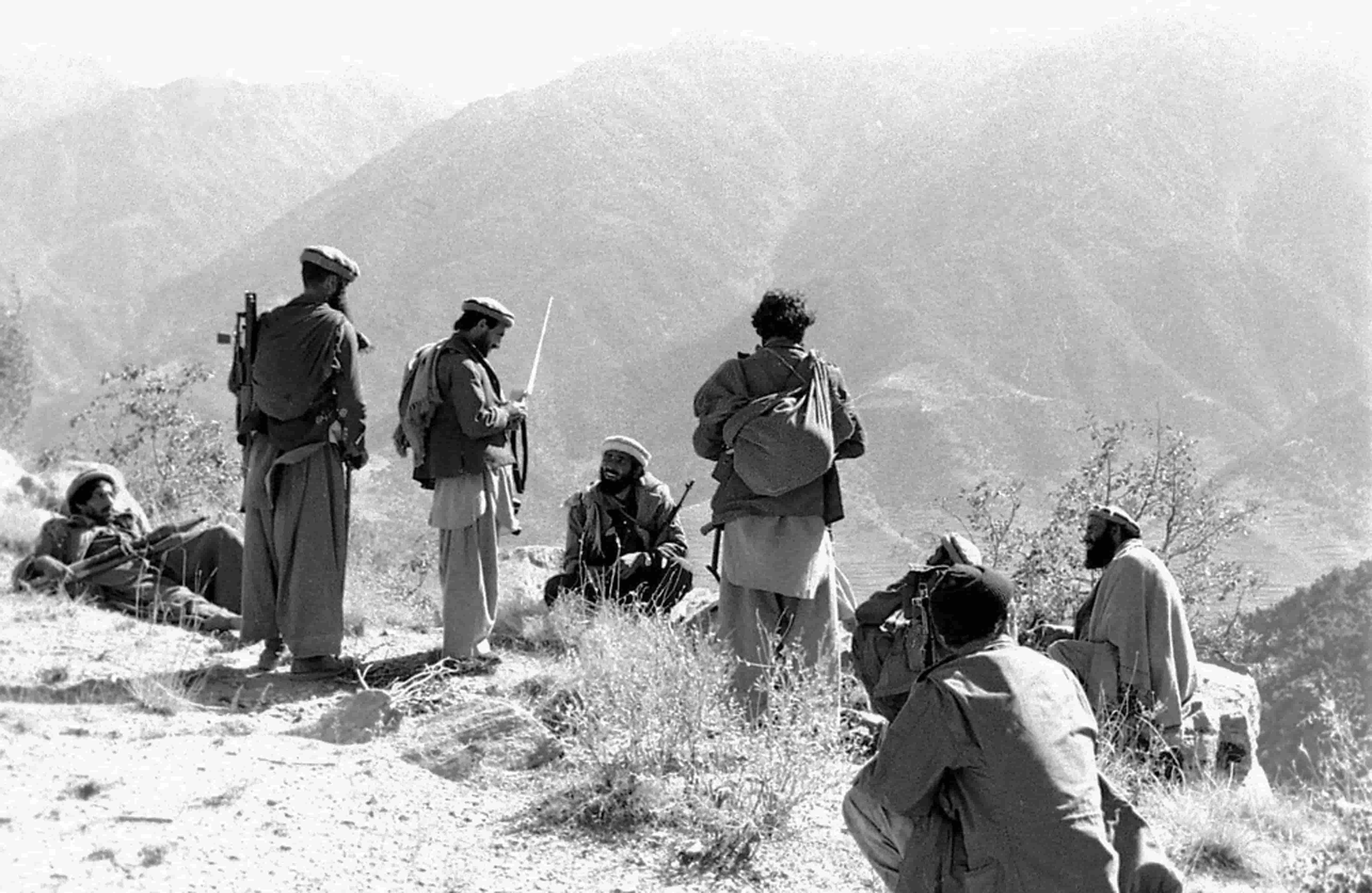 The Rise of al-Qaida and bin Laden
