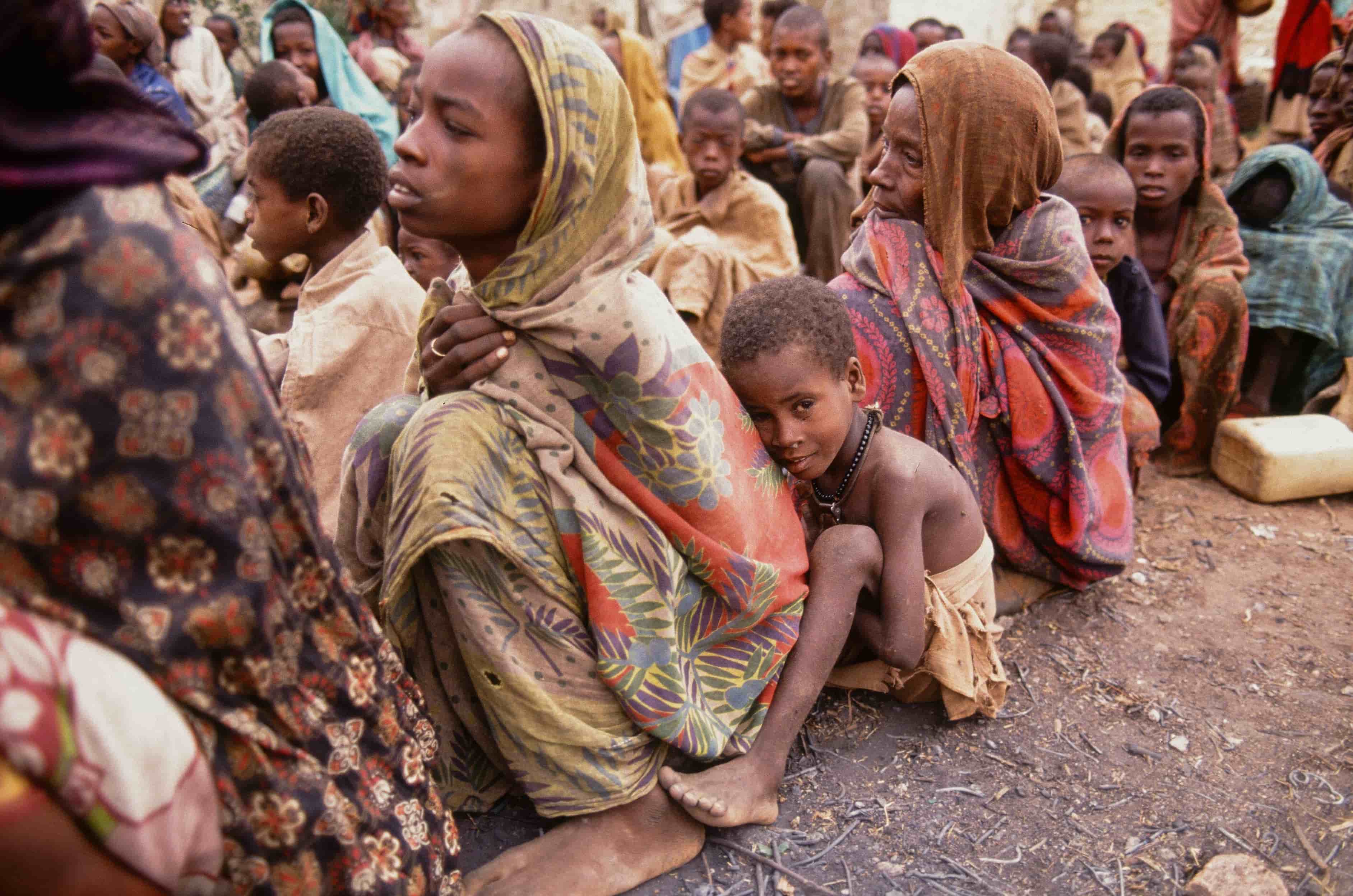 Somali Immigration