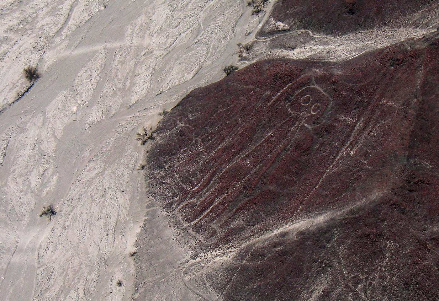 Ancient Encounters