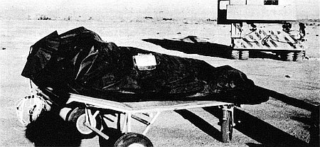 Roswell Incident