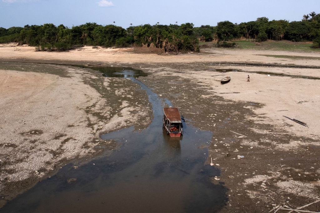 Amazon Rainforest Water Level Falls to 121-Year Low post image