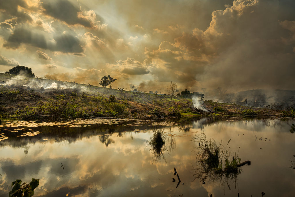 Deforestation in Brazil's Amazon Falls to Five-Year Low post image