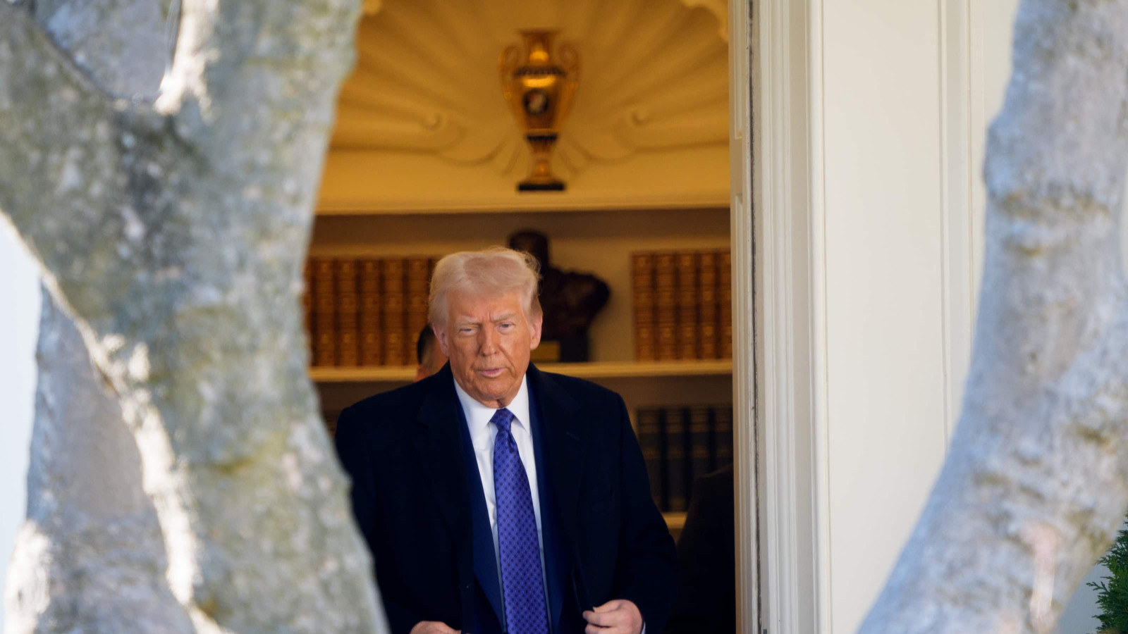 Trump Appeals to Supreme Court Over Watchdog Chief Firing