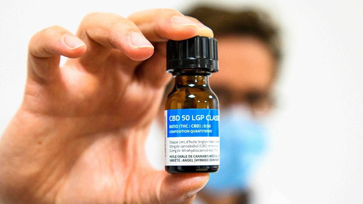 Landmark Study Shows Strong Support for Cannabis in Cancer Care