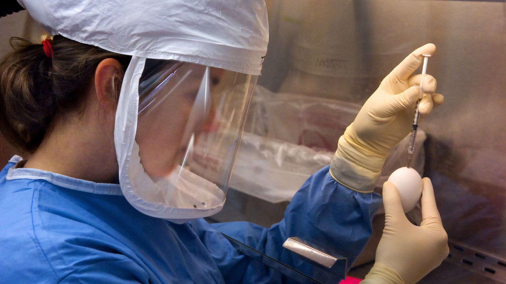 Trump Ends Federal Funding for Gain-of-Function Research