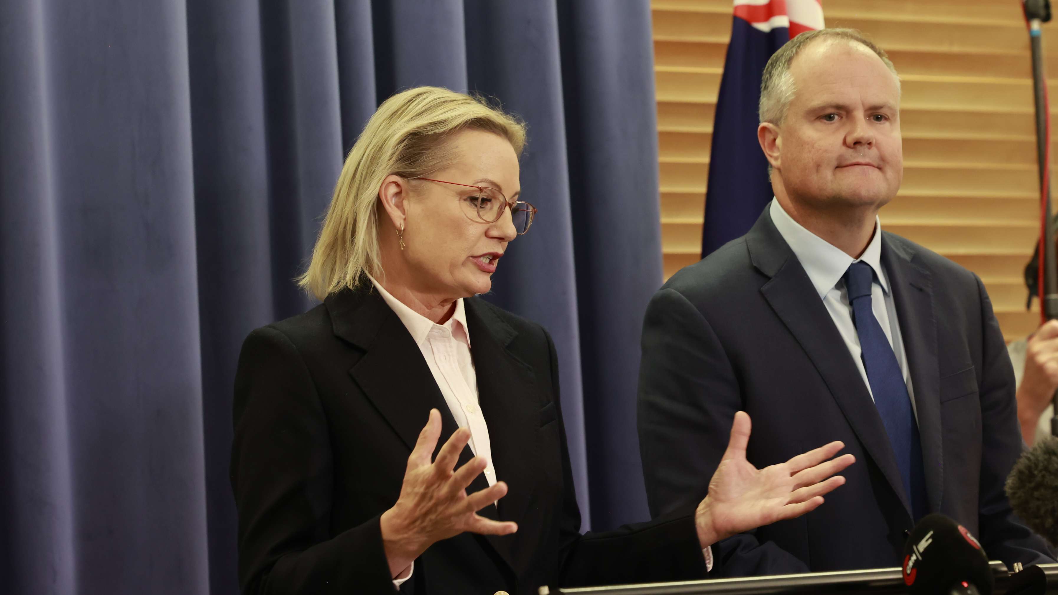 Australia: Sussan Ley Becomes First Female Liberal Party Leader