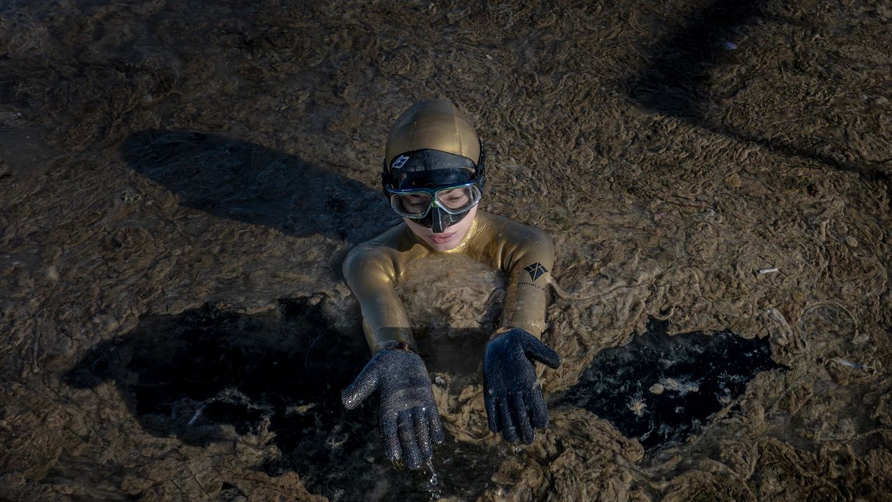 Study: 21% of Global Ocean Has Become Darker