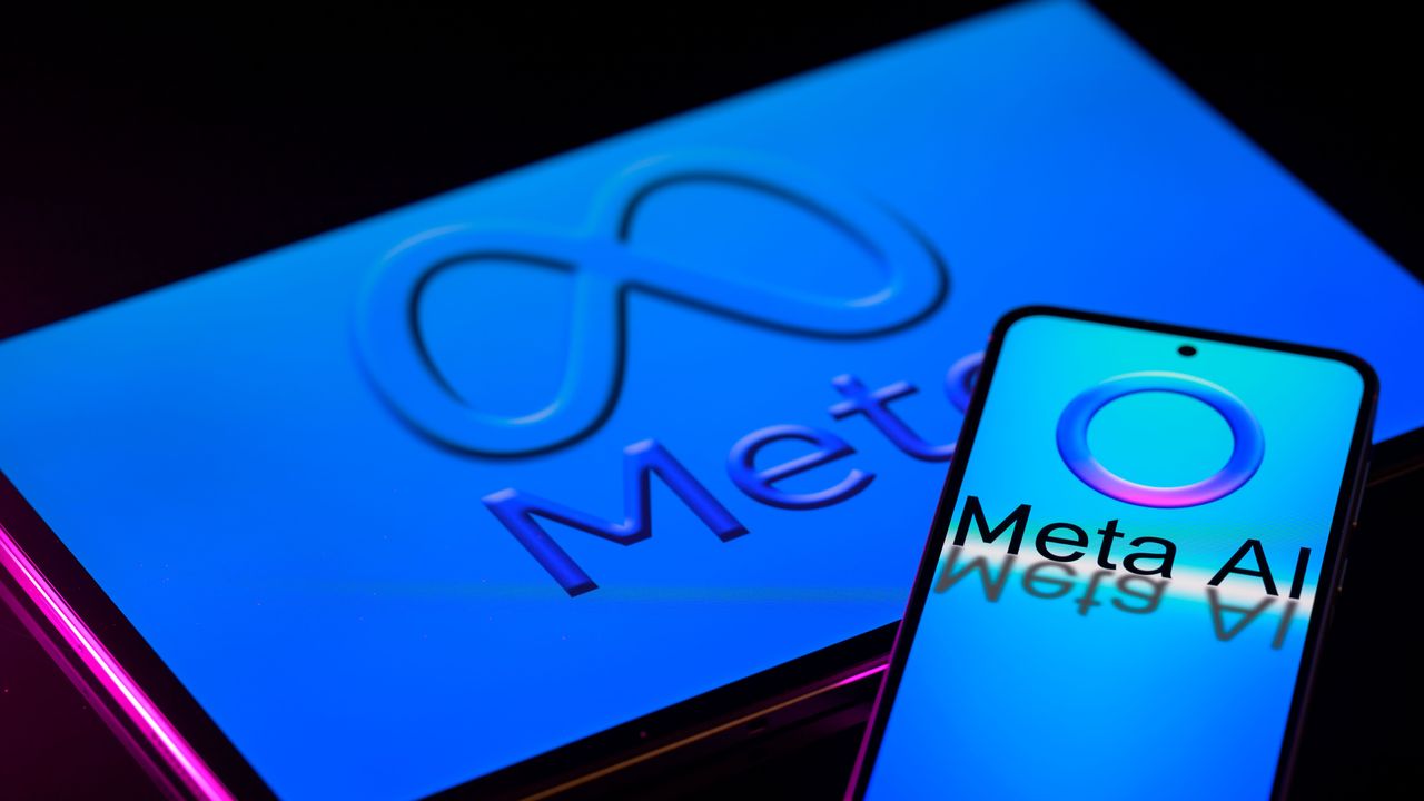 Verity - US Judge Tosses Author Lawsuit over Meta AI Training