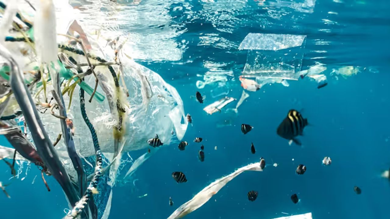 Verity - Study: Plastic Pollution Costs $1.5T in Global Health Damage