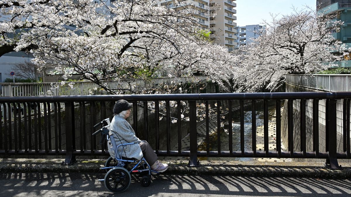 Japan's Population Hits Record Low, Shrunk by 900K in 2024