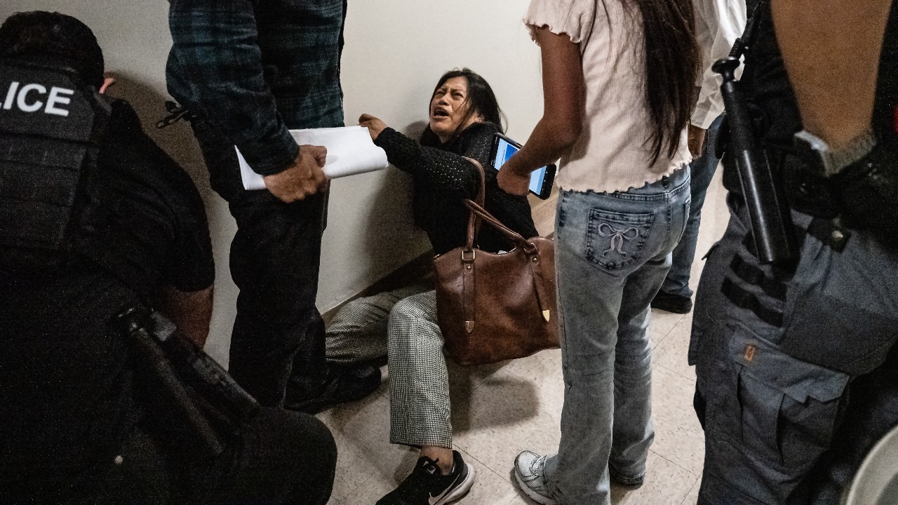 ICE Agent 'Relieved of Duties' After Video Apparently Showed Him Pushing Woman to Ground