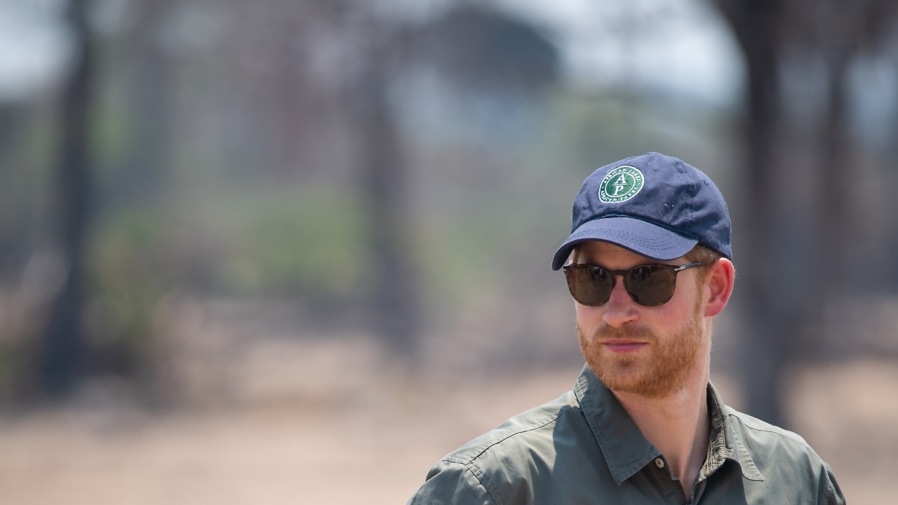 Savely Chad Verity - Chad Cuts Ties With Prince Harry-Linked Wildlife Charity