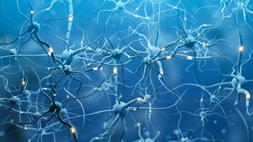 Study: Brain Training Reverses 10 Years of Cognitive Aging in World First