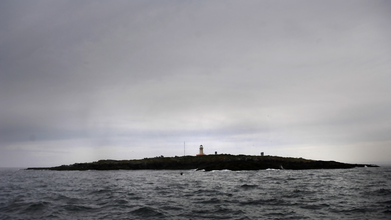 Canada-US Dispute Over Machias Seal Island Escalates Over US Tour Company