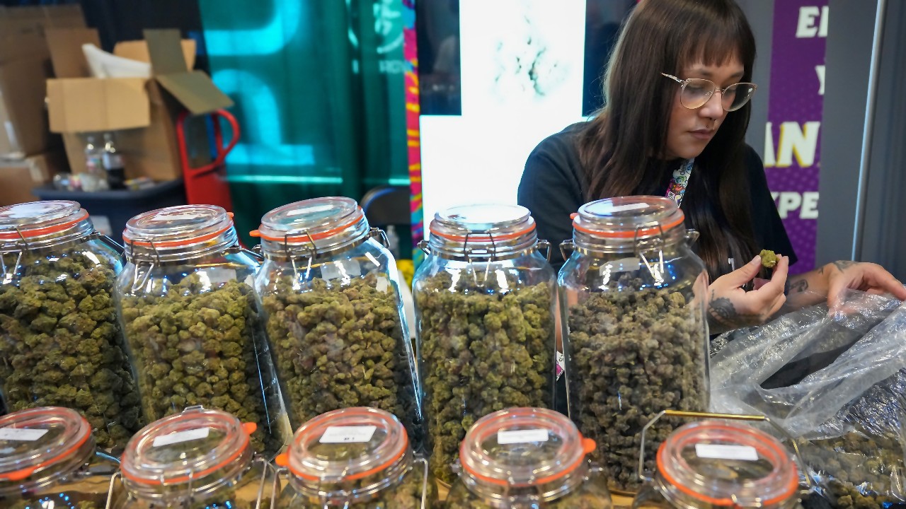 Trump Considers Reclassifying Marijuana to Schedule III Drug