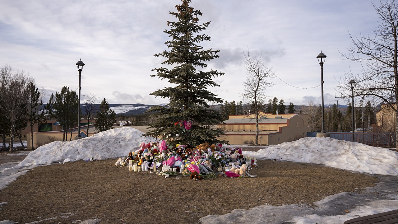 Canada: Police Made Mental-Health Visits, Seized Guns Before B.C. School Shooting