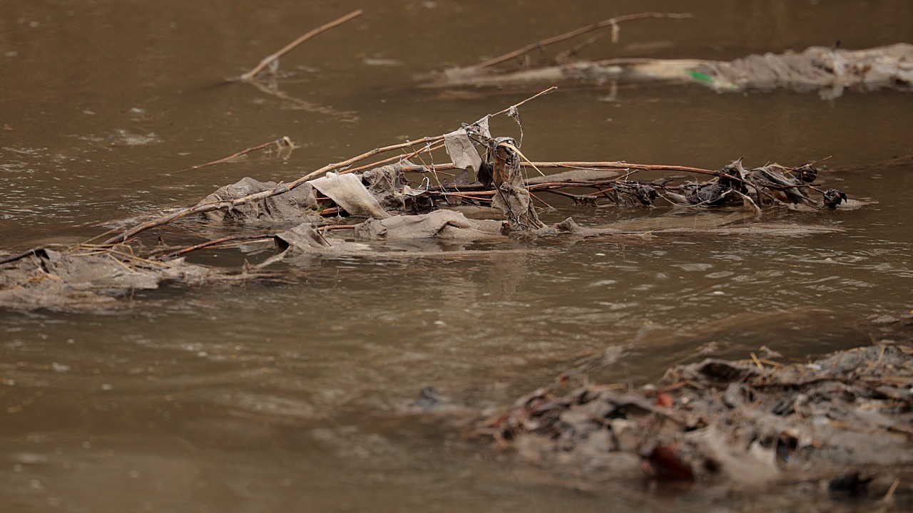 Trump Directs Government to Intervene in Potomac River Sewage Leak