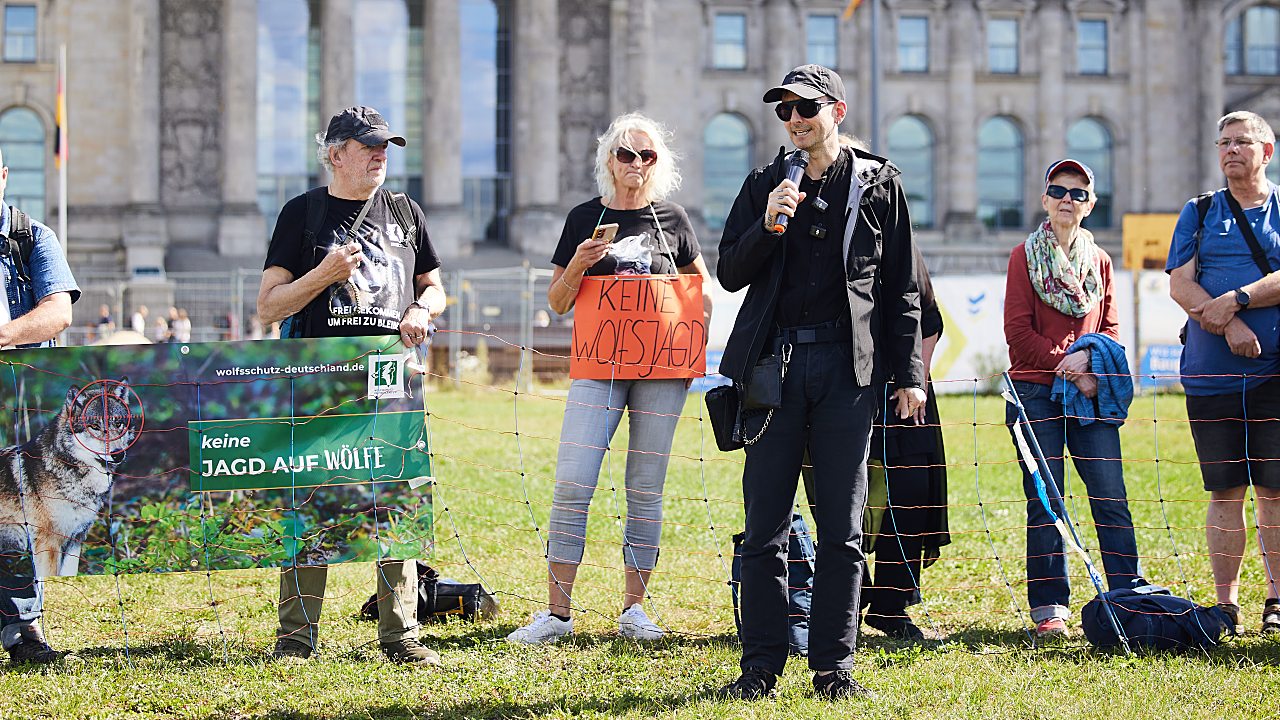 Germany's Lower House Passes Wolf-Hunting Bill