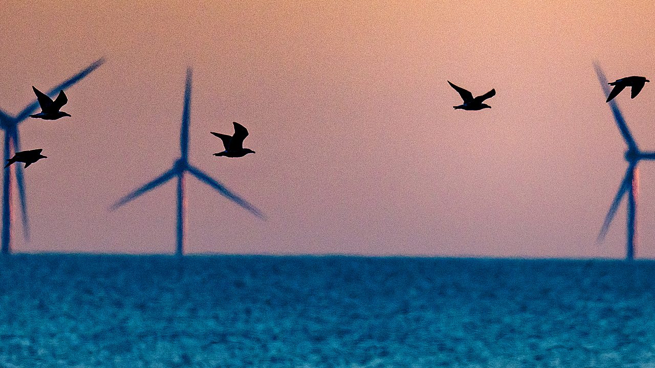 Vineyard Wind Completes Construction Despite Trump's Objection