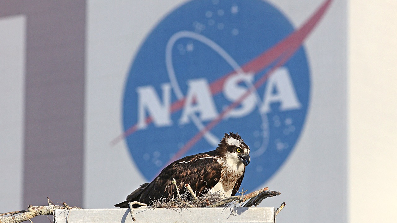 NASA Climate Physicist Quits, Citing Attacks on Science