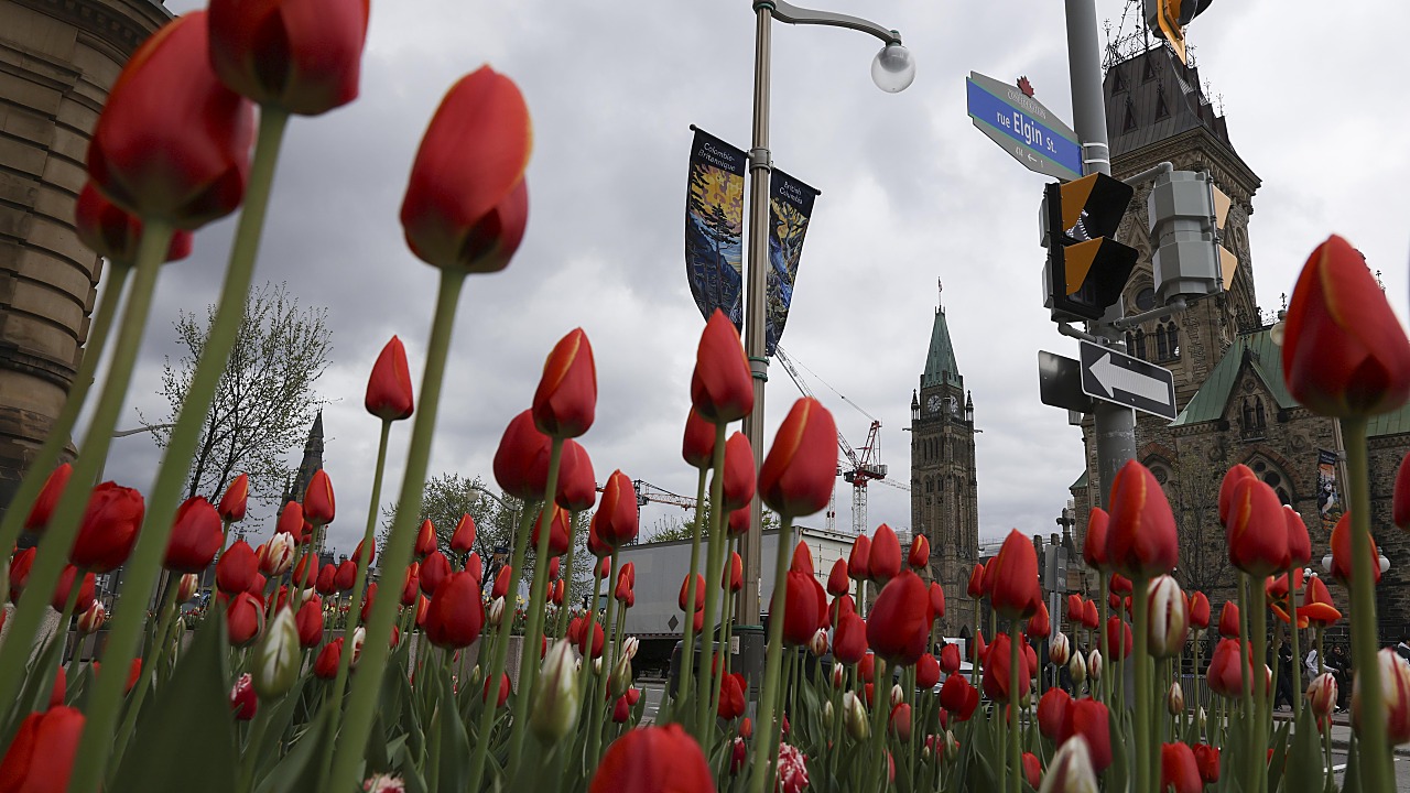 Canada: Panel Urges Permanent MAID Ban for Mental Illness