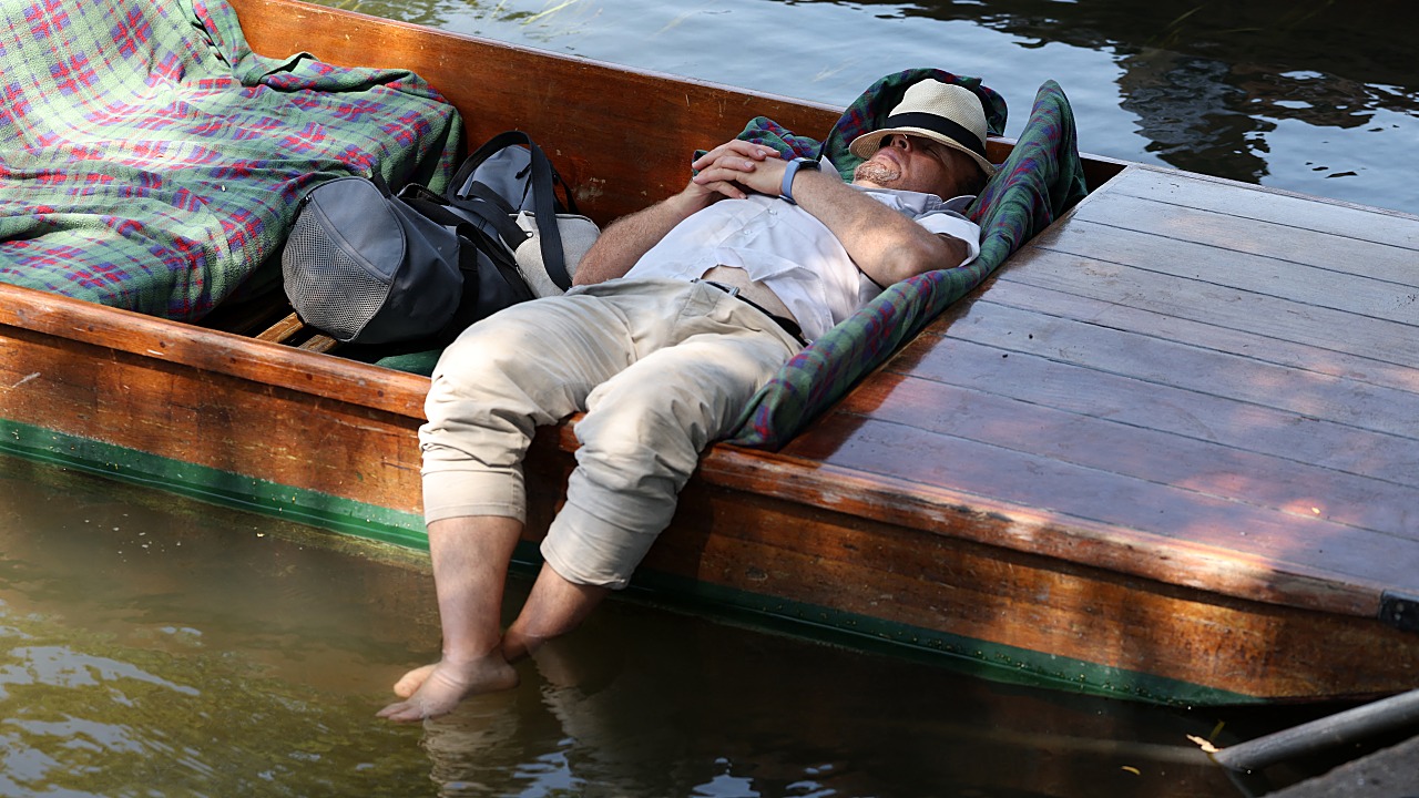 Image via verity.news