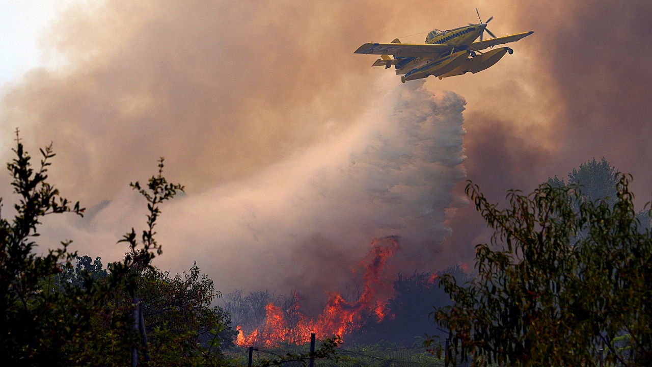European wildfires, Berlin Pride attack and voting order block