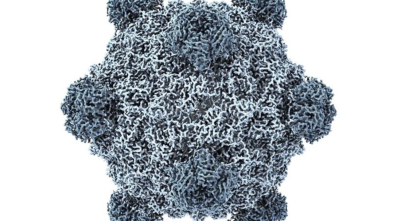 AI Designs New Viruses Not Found in Nature