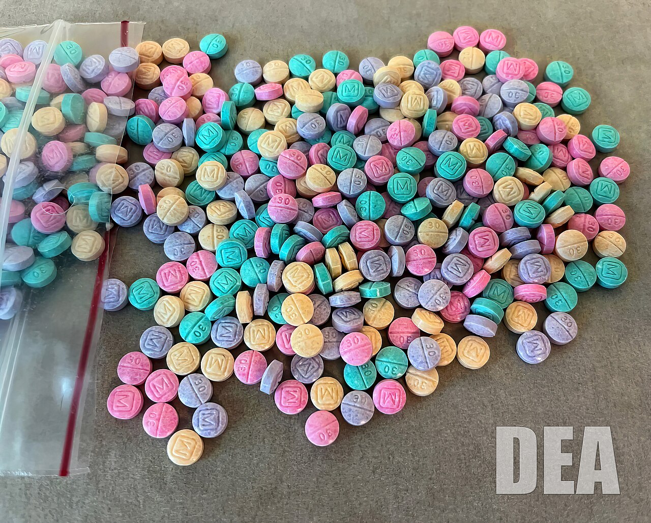 Feds Make Historic Drug Bust in Mass.