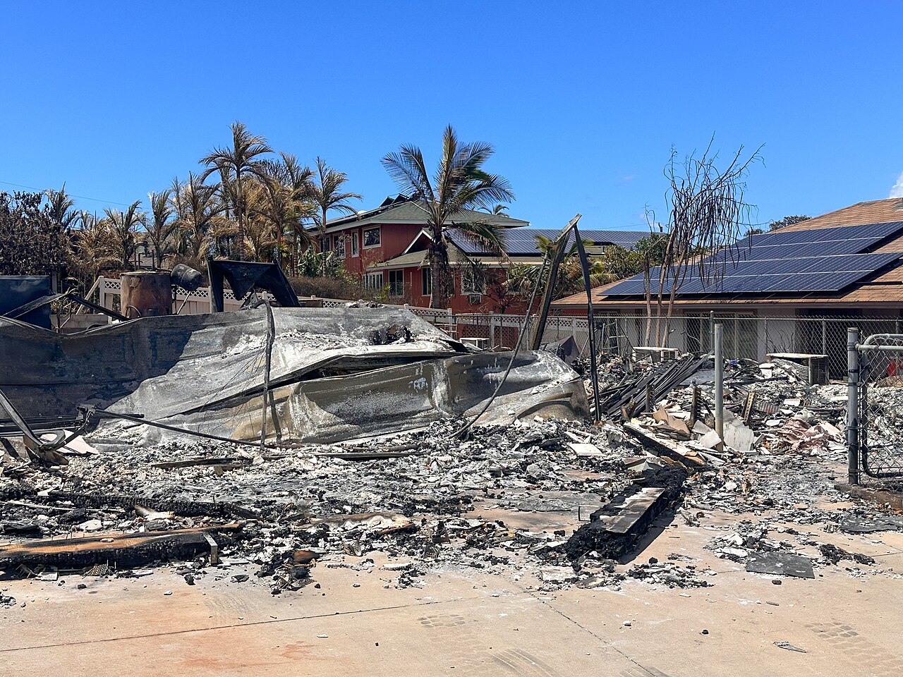 Maui Fires: County Emergency Manager Resigns